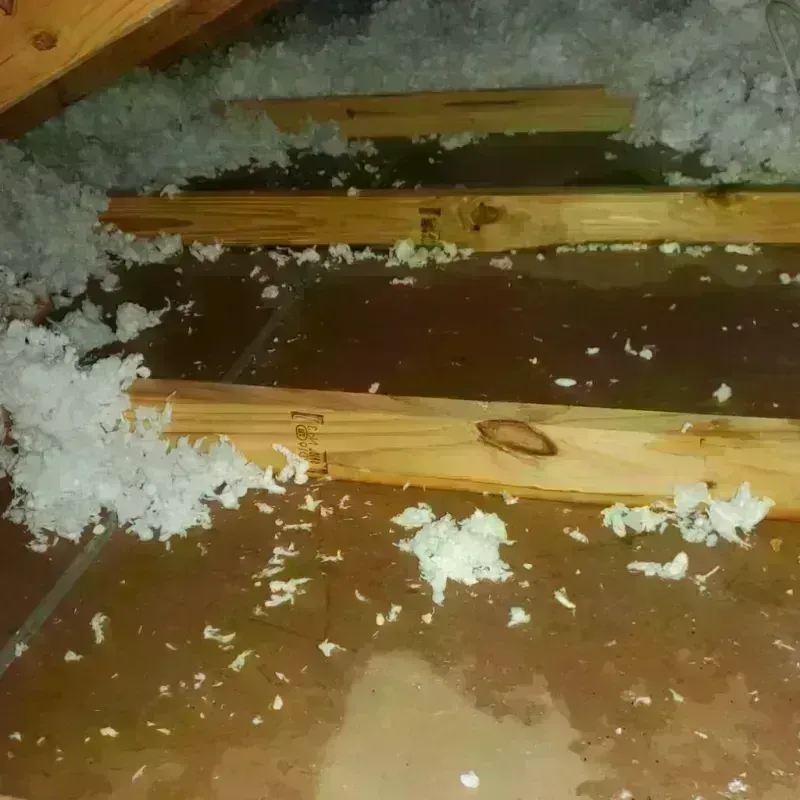 Attic Water Damage in Underwood-Petersville, AL